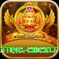 1st inning betting cricket Apps (Tools & Injectors) Pro v2.5.3