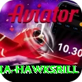 antigua hawksbill Plus Pro v2.5.9