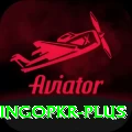 bingopkr Deluxe Pro v1.6.2