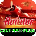cricket bat App Plus v5.3.3