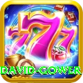 david gower Deluxe v5.5.8