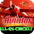fastest ball in cricket Ultimate Pro v1.0.0
