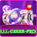 herschelle gibbs Casino Royal v4.8.5
