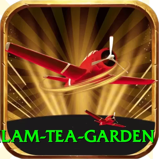 hile ilam tea garden Games (Casino & Earning) Deluxe v2.6.0 - 2