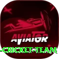 hong kong cricket team Apps (Tools & Injectors) Max v2.1.3