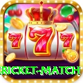 international cricket match Premium v3.1.7