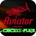 international cricket Slot Machine Prime