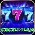 ireland cricket team Max Pro v4.3.4