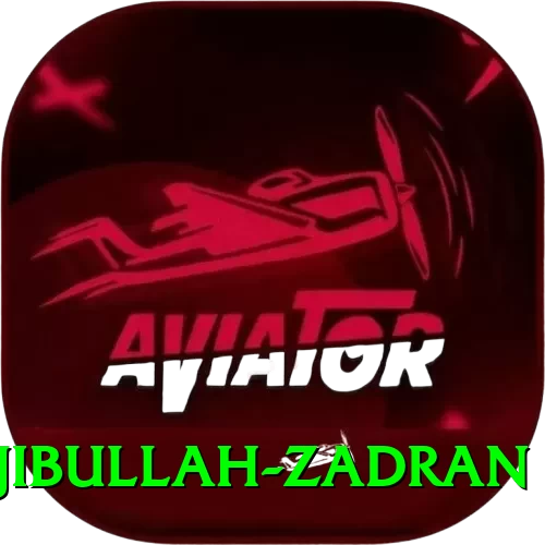 najibullah zadran Apps (Tools & Injectors) Max v5.6.0 - 2