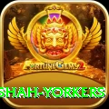 naseem shah yorkers Master Pro v2.3.8