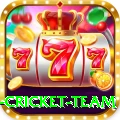 new zealand cricket team Elite Pro v2.8.3