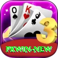 PKWin Official v5.2.5