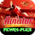 pkwin Max Pro vv1.1.5