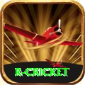r cricket Pro1 v3.2.7