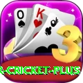 r cricket APK Max v4.8.1