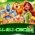 risk free bet cricket Premium v3.7.3