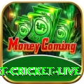 smart cricket live Deluxe Pro v3.8.1