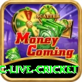 smartcric live cricket Plus Pro v4.4.8