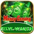 steve waugh Master v2.3.5