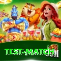 test match Premium v5.0.2