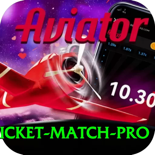 to day cricket match Slot Machine Mega - 2