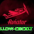willow cricket Pro Max v3.2.8