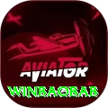winbaobab Deluxe Pro vv5.6.5